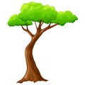 Cartoon isolated tree on white background