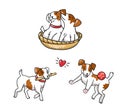 Cartoon Jack Russell Terriers. Puppies playing with balls. Vector illustration.