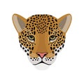Cartoon jaguar head Royalty Free Stock Photo