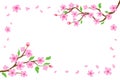 Cartoon japanese cherry blossom and falling petals background. Sakura branches with pink flowers banner Blooming spring Royalty Free Stock Photo