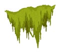 Cartoon jungle moss shape. Green swamp moss, forest hanging and creeping lichen. Rainy forest flora. Marsh plant for