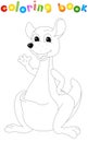 Cartoon kangaroo coloring book Royalty Free Stock Photo