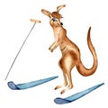 Cartoon kangaroo and water skiing watercolor illustration isolated on white. Royalty Free Stock Photo