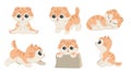 Cartoon kawaii ginger striped kitten set. Different emotions. Sitting, sleeping, playing cat. Cute domestic animal collection. Vec