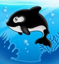 Cartoon killer whale in sea