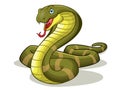 A cartoon of king cobra or venomous snake angry. illustration .