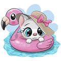 Cartoon Kitty in swimming on pool ring inflatable flamingo