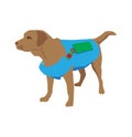 Cartoon labrador retriever rescue Dog. Lifeguard dog Squadron. Vector illustration. Royalty Free Stock Photo