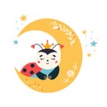 Cartoon Ladybug vector Cute sleeping ladybird insect