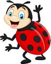 Cartoon ladybug waving Royalty Free Stock Photo