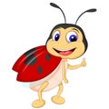 Cartoon ladybugs posing Royalty Free Stock Photo