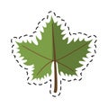 Cartoon leave grape wine symbol