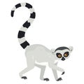 Cartoon lemur catta