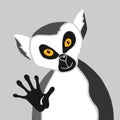 Cartoon lemur portrait on gray background