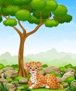 Cartoon leopard lay down in the jungle Royalty Free Stock Photo
