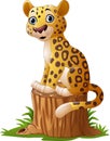 Cartoon leopard sitting on tree stump