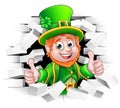 Cartoon Leprechaun St Patricks Day