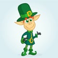 Cartoon Leprechaun. Vector illustration of Leprechaun character presenting. St Patrick`s Day mascot.