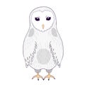 Cartoon light gray barn owl vector illustration Royalty Free Stock Photo