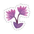 cartoon lily flower image