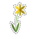 Cartoon lily petal natural style