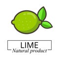 Cartoon lime icon