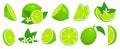 Cartoon lime. Limes slices, green citrus fruit with leaves and lime blossom isolated vector illustration set