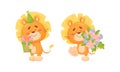 Cartoon Lion Cub Playful Character with Thick Mane Holding Gift Box and Bunch of Flowers Vector Set