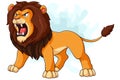 Cartoon lion roaring on white background Royalty Free Stock Photo
