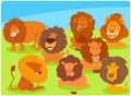 Cartoon lions animal characters group