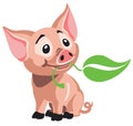 Cartoon little baby pig holding a leaf Royalty Free Stock Photo