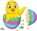 Cartoon little chick hatched from an egg Royalty Free Stock Photo
