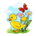 Cartoon baby duck with grass, flowers, butterfly, sky, clouds. Happy yellow duckling vector illustration Royalty Free Stock Photo