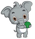 Cartoon little elephant holding grass on white background