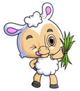 Cartoon little sheep holding grass on white background