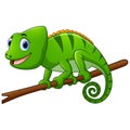 Cartoon lizard on branch