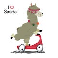 Cute alpaca Boho style. I love sports. - Vector