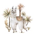 Cartoon llama watercolor illustrations. Cute llamas alpaca characters smiling, walking, in Peru desert landscape with