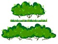 cartoon long green bushes, vector set