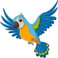 Cartoon macaw flying