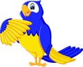 Cartoon macaw