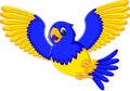 Cartoon macaw