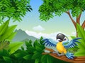 Cartoon macaw in the jungle