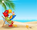 Cartoon macaw sitting on beach chair and eating an ice cream