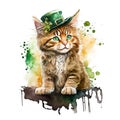 Cartoon mainecoon kitten in green leprechaun hat with flowers for St. Patrick\'s Day.