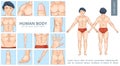 Cartoon Male Body Parts Concept Royalty Free Stock Photo