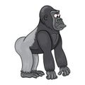 Baffled cartoon male of gorilla Royalty Free Stock Photo