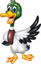 Cartoon mallard duck waving isolated on white background Royalty Free Stock Photo