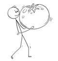 Cartoon of Man Carrying Big Ripe Tomato Fruit