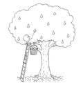 Cartoon of Man on Ladder Picking Fruit From Pear Tree